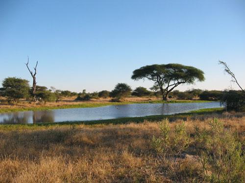 peisaj de botswana